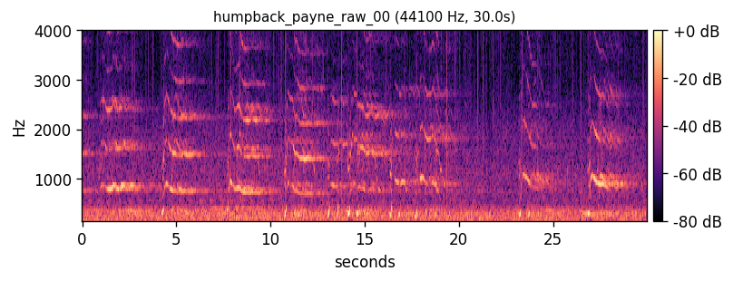 Humpback whale song