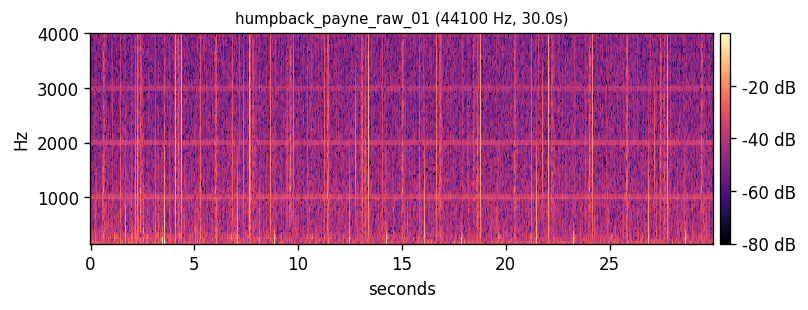 Humpback song — second excerpt