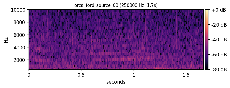 Killer whale source call
