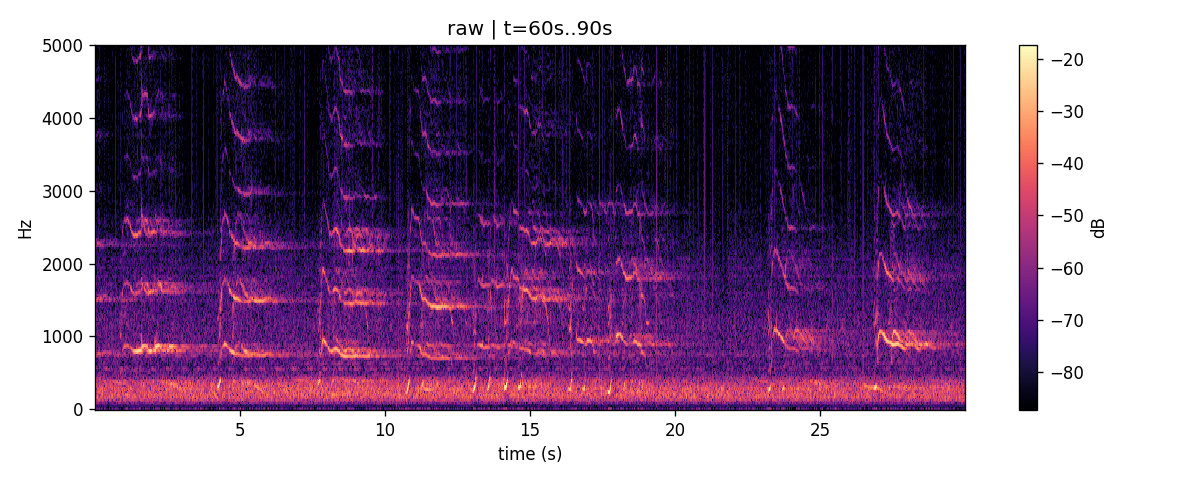 Stage 0 — raw recording